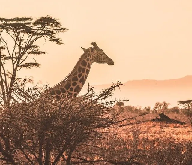 Destinos & Experiências